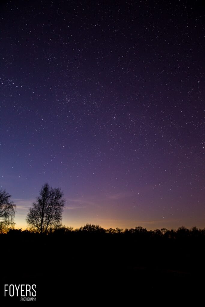 Starry night sky above silhouetted trees
