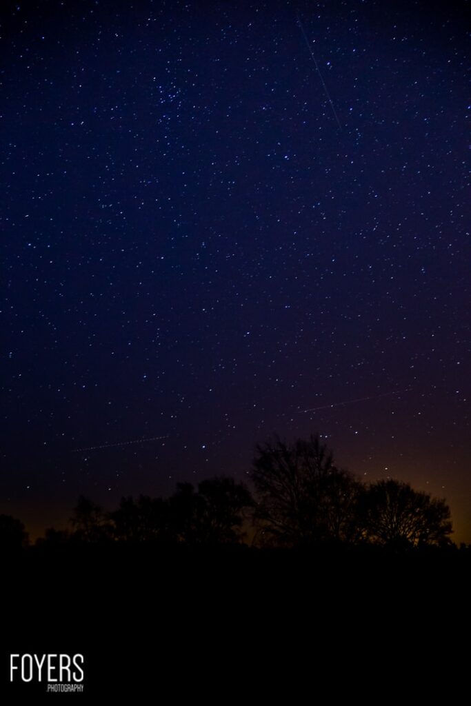 Starry night sky with silhouetted trees