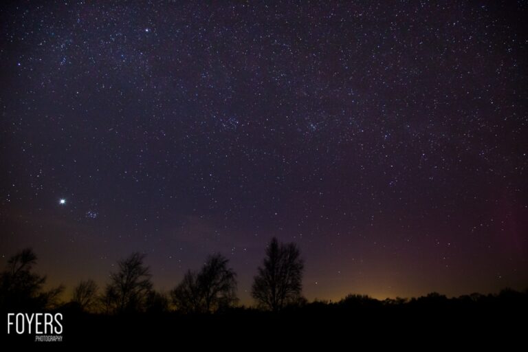 Starry night sky over silhouetted trees.