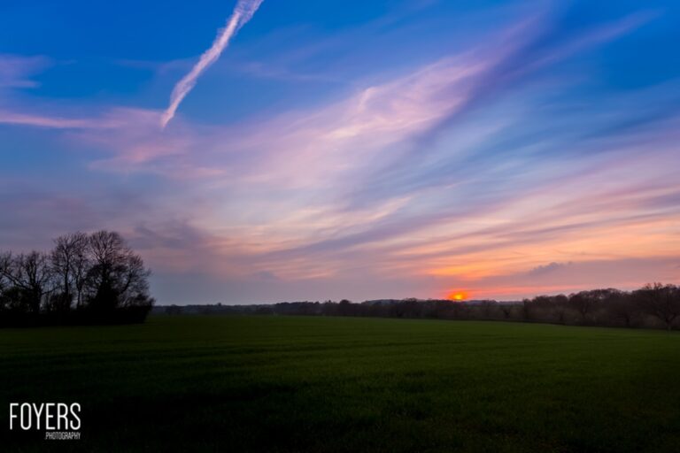 Vibrant sunset over grassy field and trees