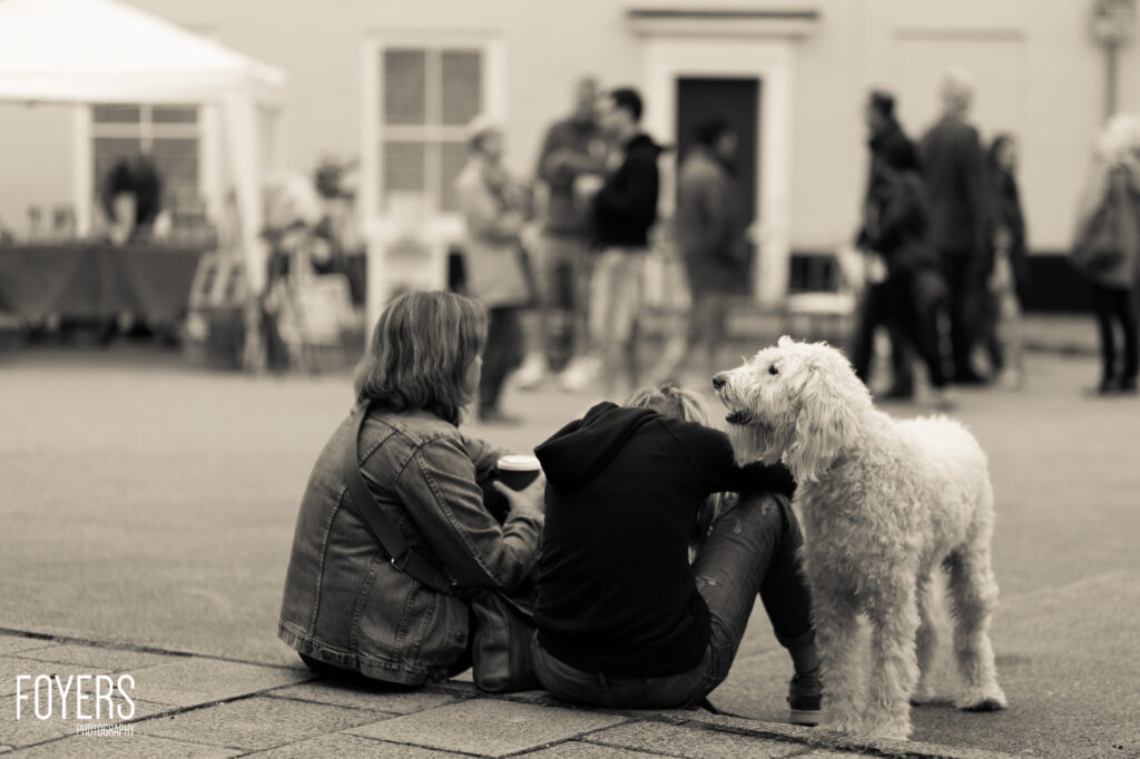 Two people sitting on paving stones with a white fluffy dog, other people visible but blurred in background