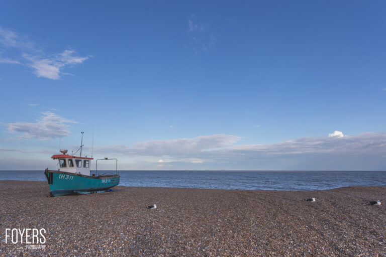 3 gulls and a boat