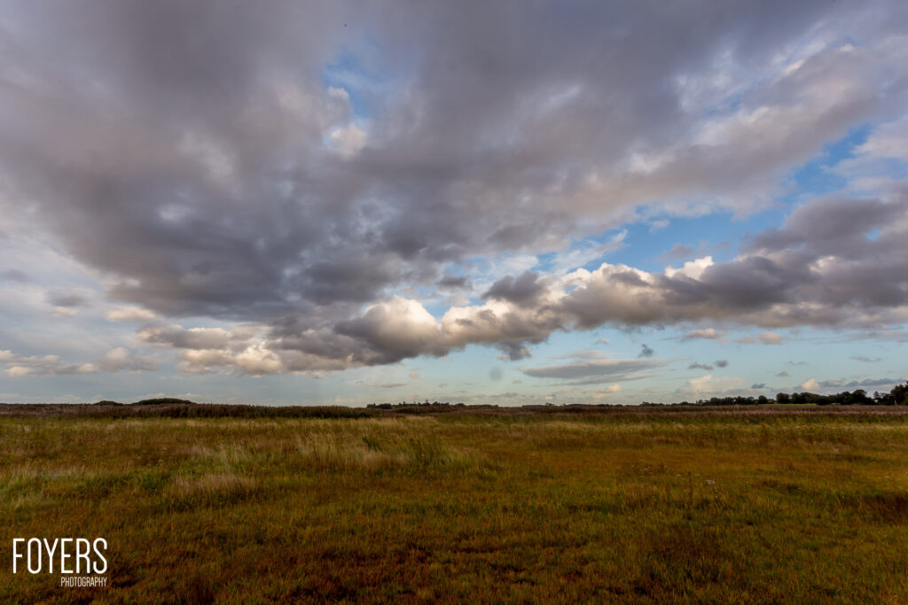 Expansive grassland under a dramatic cloudy sky with patches of blue, trees visible on the distant horizon