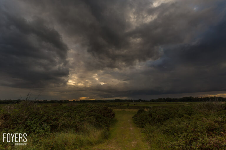Dark storm clouds gather over a green countryside path with vegetation on either side and distant treeline on the horizon