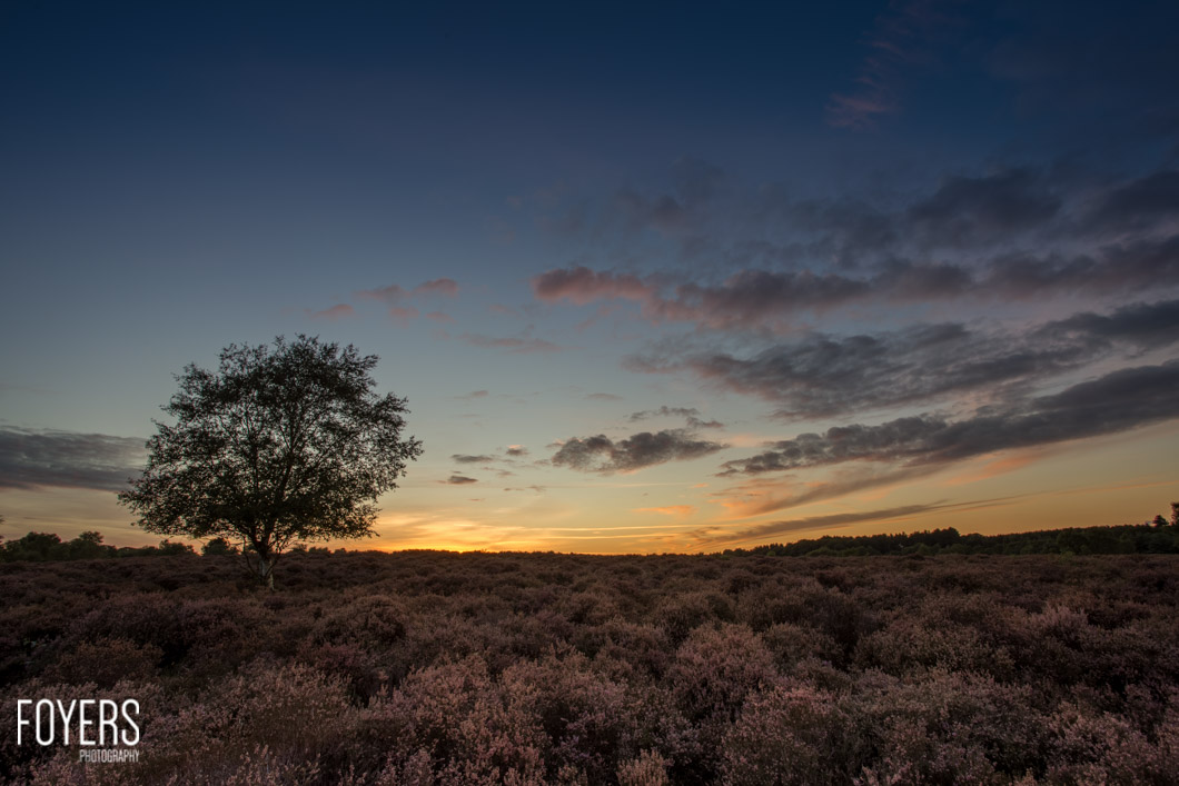 last of the light on dunwich heath-1-copyright Robert Foyers-_MG_9999-September 24, 2015-Dunwich heath-5-HDR-Edit
