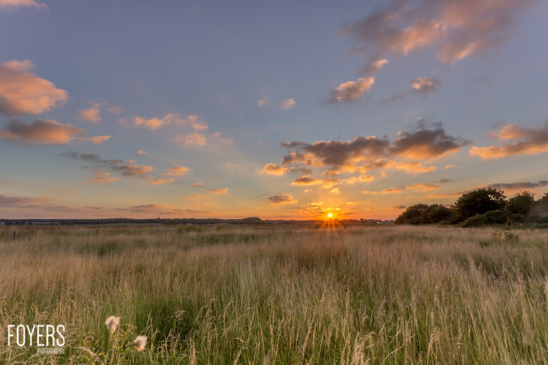 Sunset over a vast grassland with golden clouds scattered across the sky and trees silhouetted on the horizon.