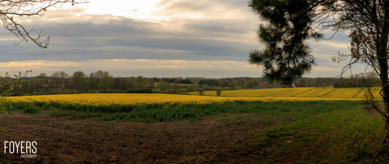 Agricultural landscape with yellow rapeseed field, ploughed earth, green hedgerow, distant trees and cloudy sky.