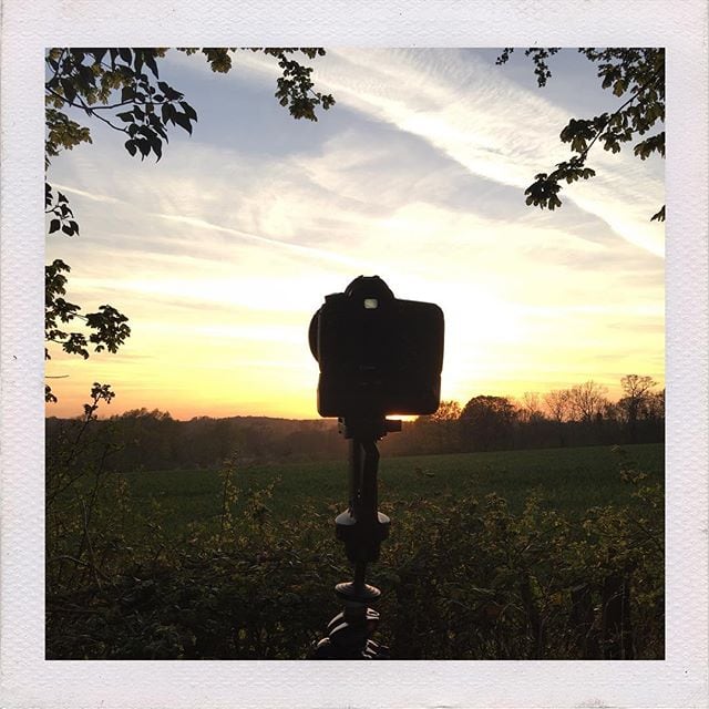 A camera on a tripod silhouetted against a sunset sky, positioned in an open field with trees framing the edges.