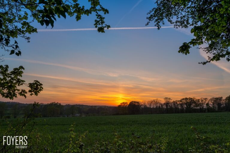 Sunset over a rural field with tree silhouettes framing the golden sky and a contrail visible above.