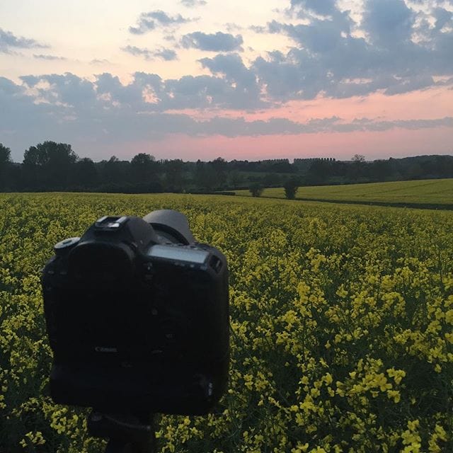 A camera on a tripod in a yellow rapeseed field at sunset, with pink and blue clouds in the sky above.
