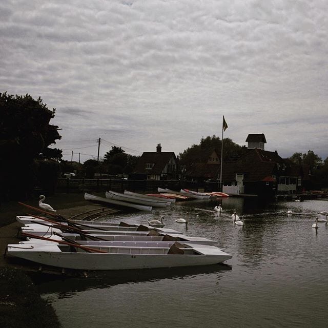 Small rowing boats moored on a river with swans swimming nearby, village buildings visible across the water under cloudy sky.
