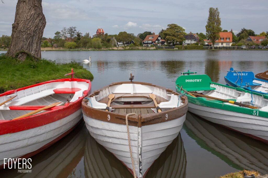 Three moored rowing boats on a river, with a swan and riverside cottages visible across the water.