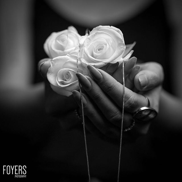 White rose – Behind the scenes