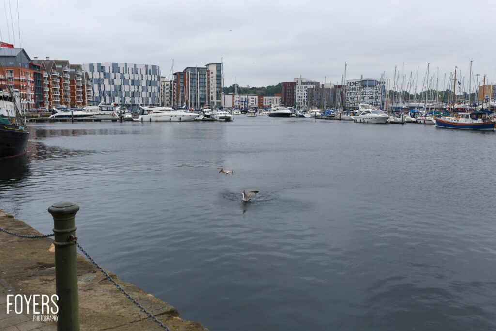 A marina with moored boats, waterfront buildings, and two birds swimming in calm water on an overcast day.
