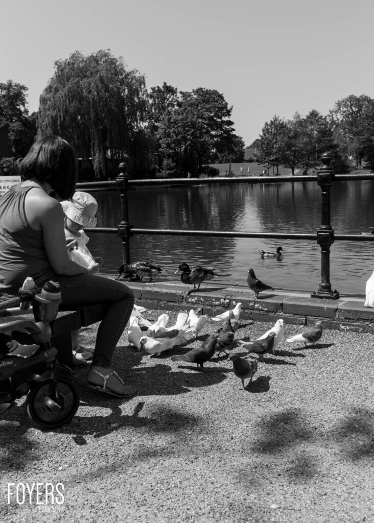 Woman feeding pigeons and ducks by a lakeside, seated on a bench with a child, in a park with weeping willow trees.