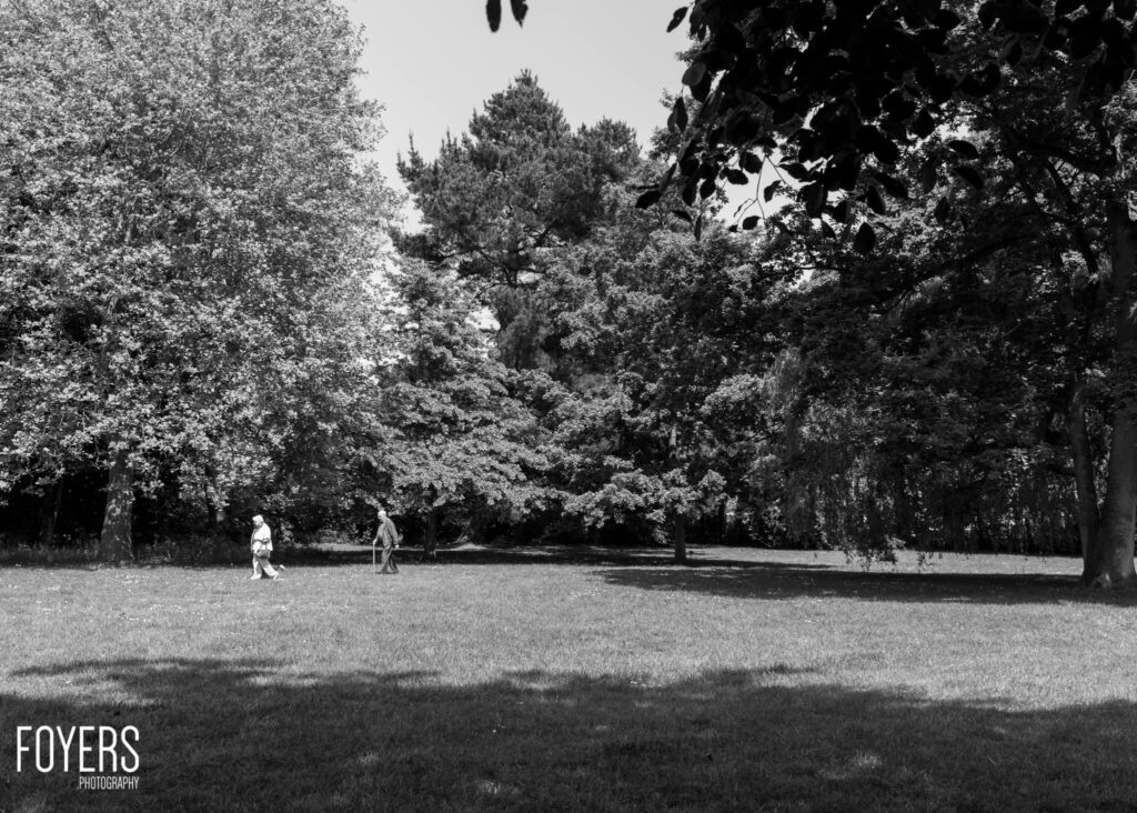 Two people walk across a sunny park lawn surrounded by tall trees casting shadows on the grass.