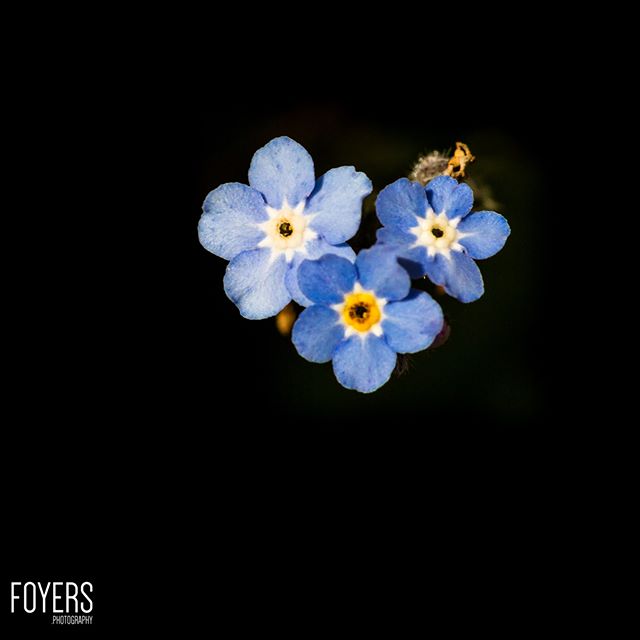 WEEK 27	Artistic: Blue