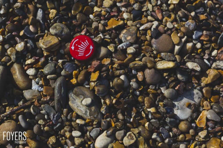 A bright red shell with white markings lies among pebbles and stones on a beach.