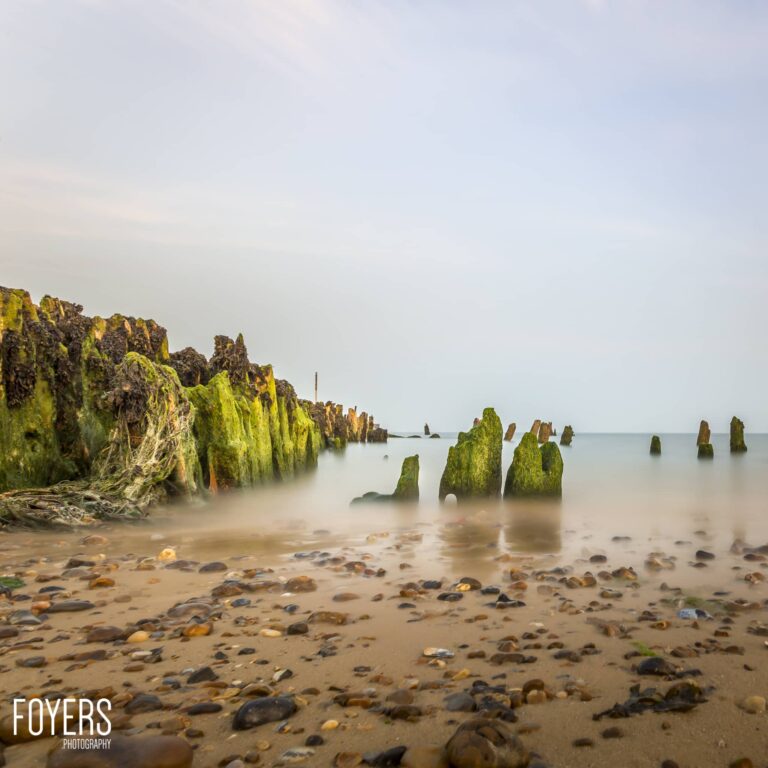 Moss-covered wooden pilings and rocks emerge from misty shallow water on a pebbly beach under an overcast sky.