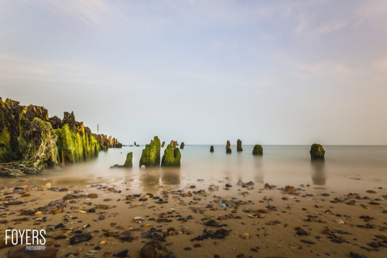 WEEK 38	Landscape: Get Low