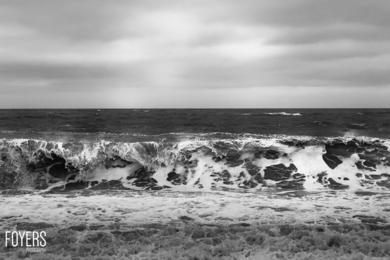 WEEK 23	Landscape: Weather