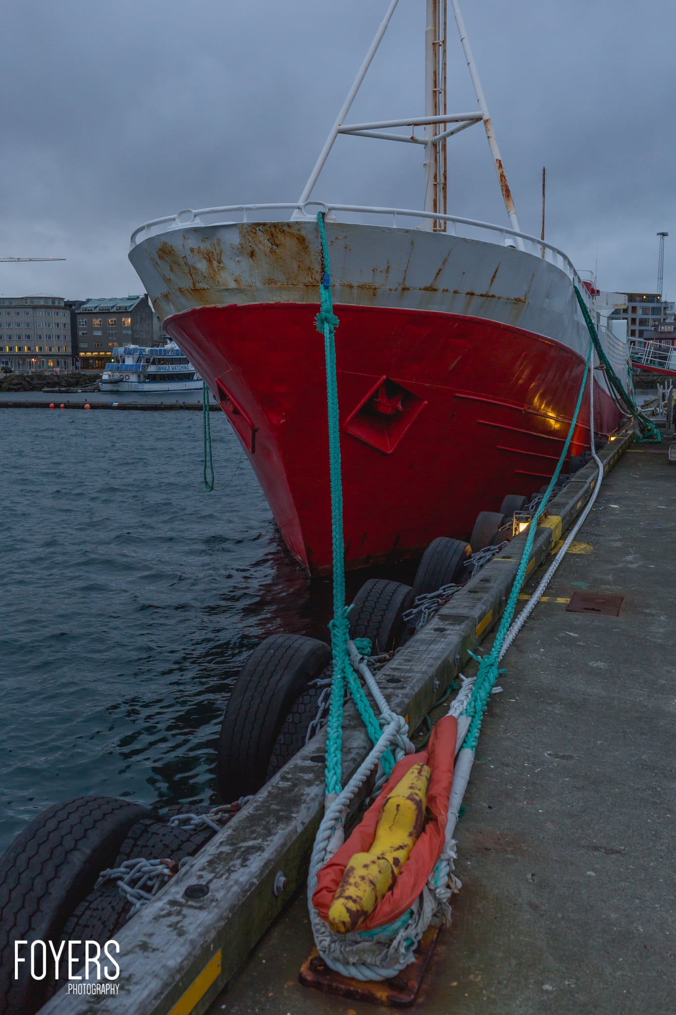 iceland-0012-november-06-2016-copyright-foyers-photography