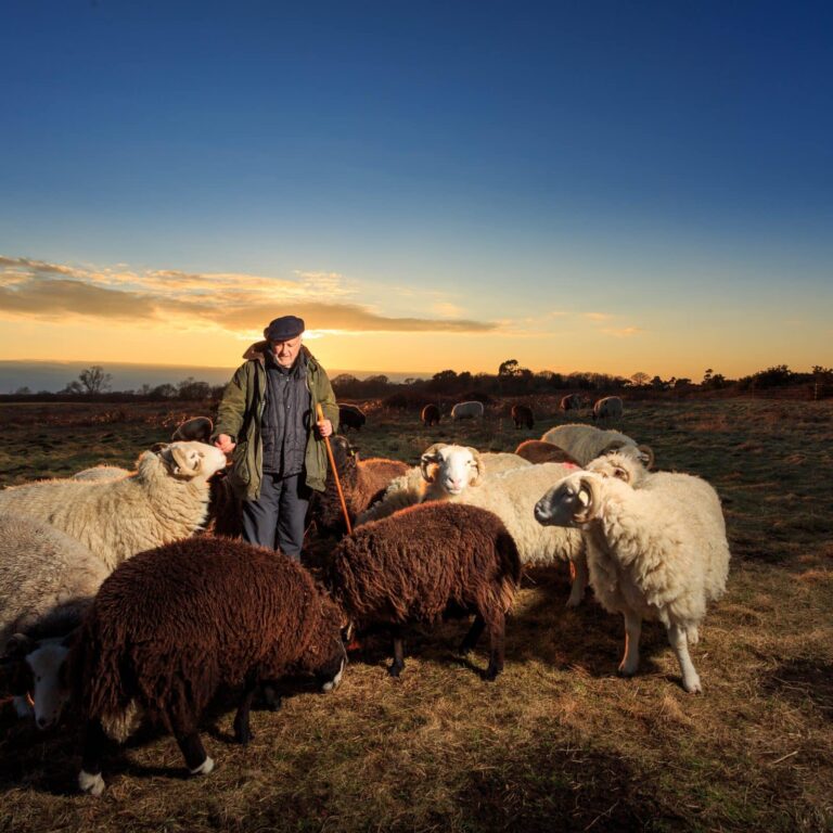 The Shepherd – Behind the Scenes