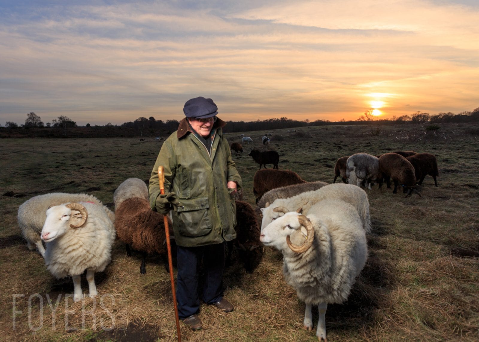 Portrait of a Shepherd on Snape Warren, Suffolk