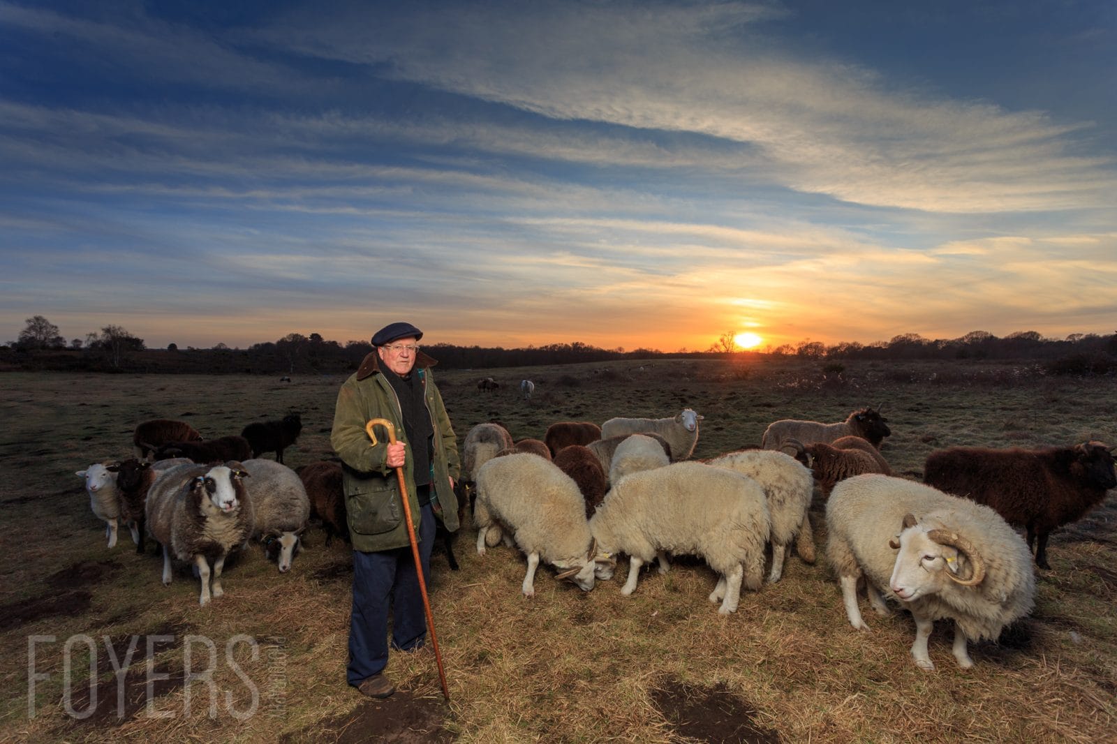 Portrait of a Shepherd on Snape Warren, Suffolk