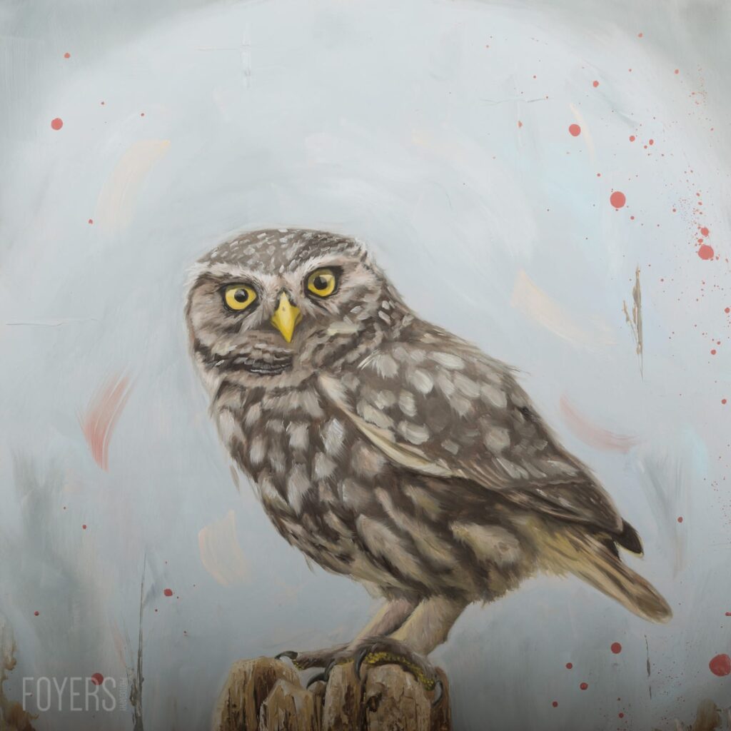 A small owl with yellow eyes and grey-brown plumage stands on a wooden perch against a misty grey background with red paint splatters.