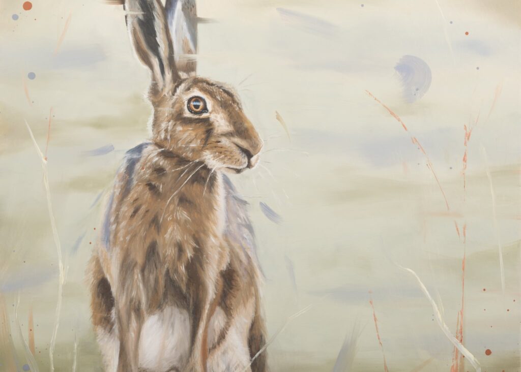 A brown and white hare sits upright in a misty field, looking to the side with a striking blue eye.