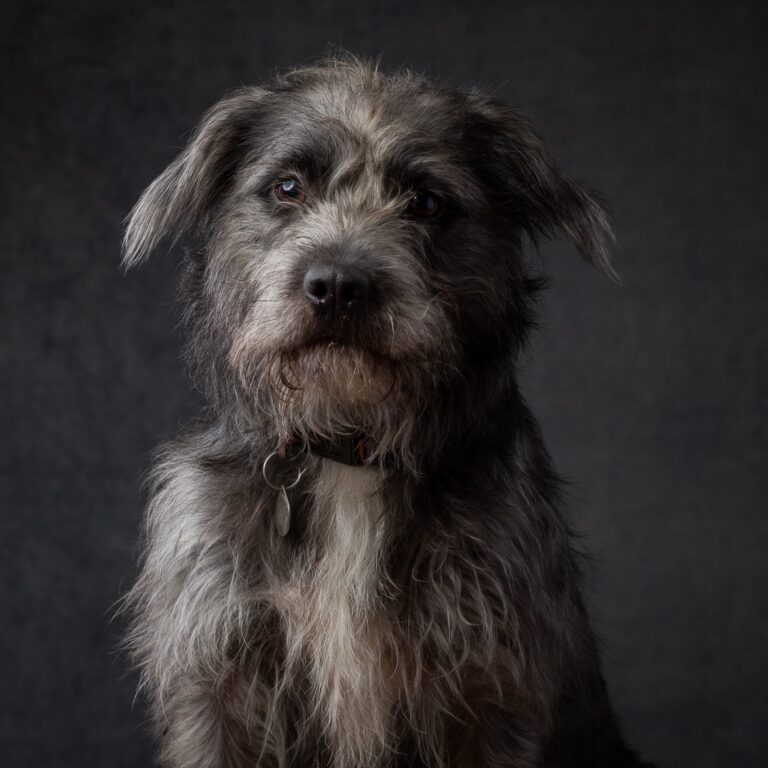 Behind the scenes – portrait shoot of Womble
