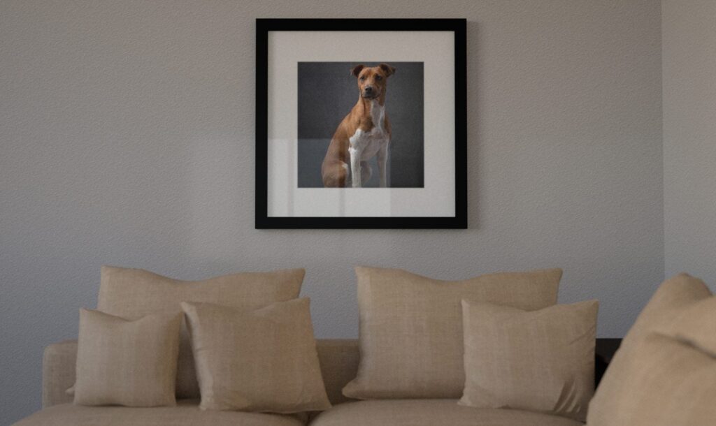 Framed square pet portrait of a dog displayed on a wall above a beige sofa