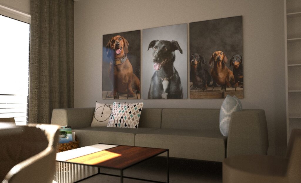 Three large framed pet portraits of dogs displayed on a wall above a sofa