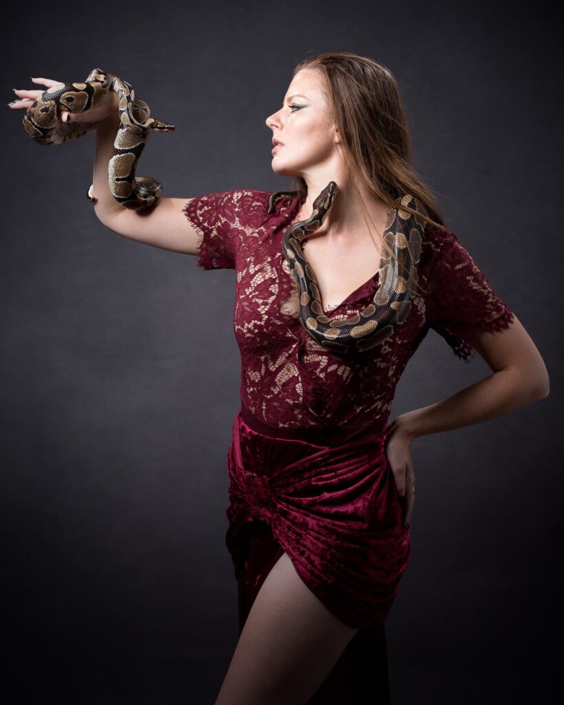 Woman in burgundy lace dress holding two ball pythons against a dark grey background.