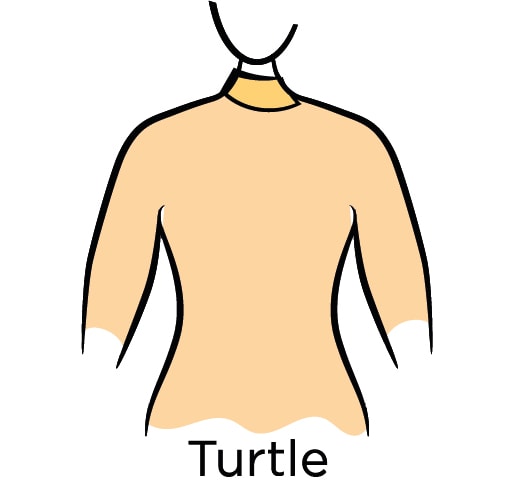 Female Women what is ok to wear for headshots Turtle neck