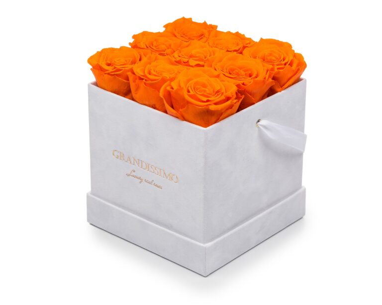 Grandissimo Roses – Product Photography