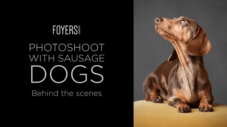 Behind the scenes –  Photoshoot with Sausage Dogs