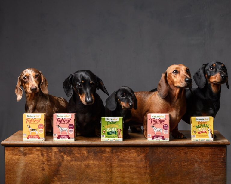 Sausage Dogs