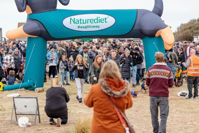 Large turquoise inflatable arch branded Naturediet with hashtag #wagthisway. Outdoor event with crowds of people and children gathered beneath it on sandy ground.
