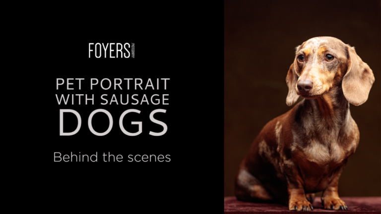 pet portrait with sausage dogs