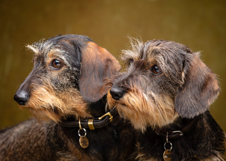 monty and suki foyers photography 1081