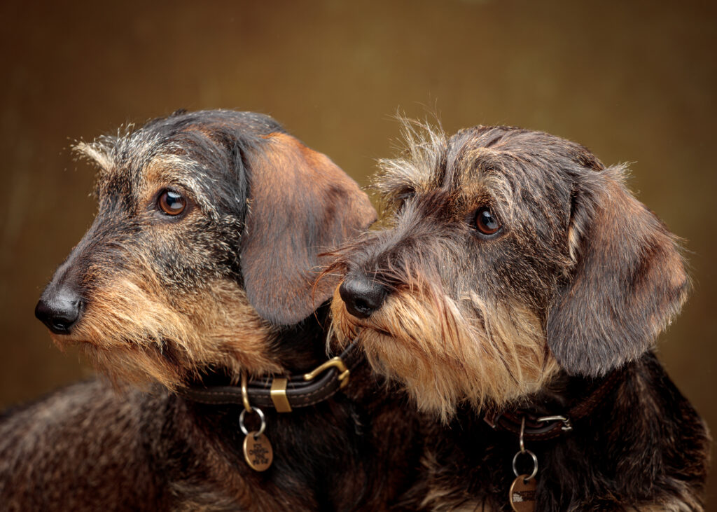 monty and suki foyers photography 1081
