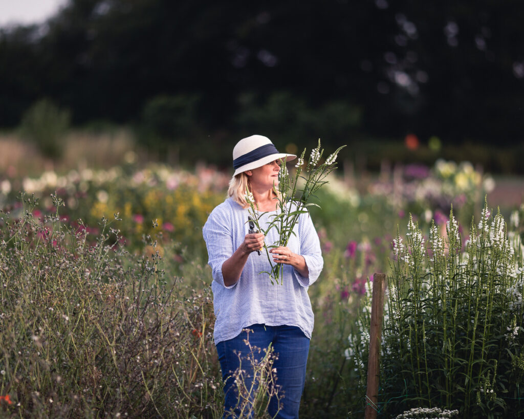 the southwold flower company 0017 20190716 copyright bob foyers photography