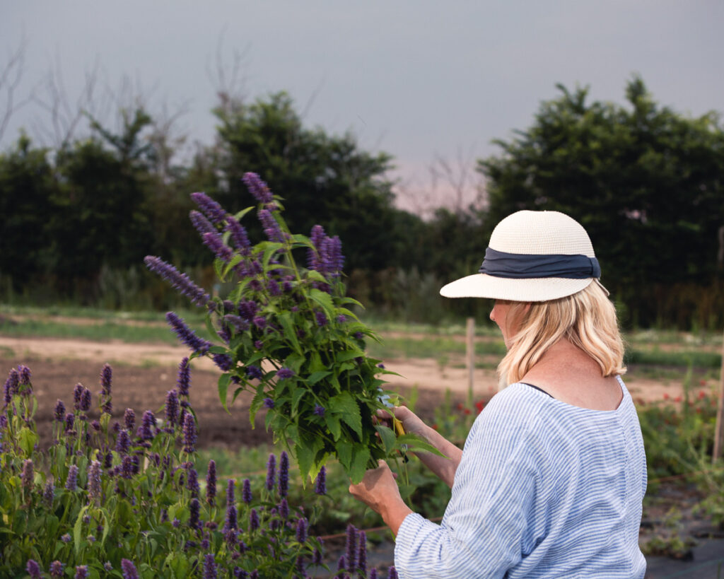 the southwold flower company 0091 20190716 copyright bob foyers photography