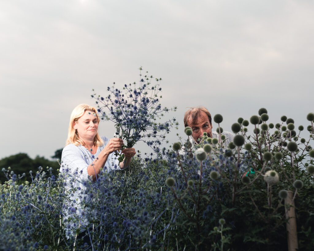 the southwold flower company 0146 20190716 copyright bob foyers photography