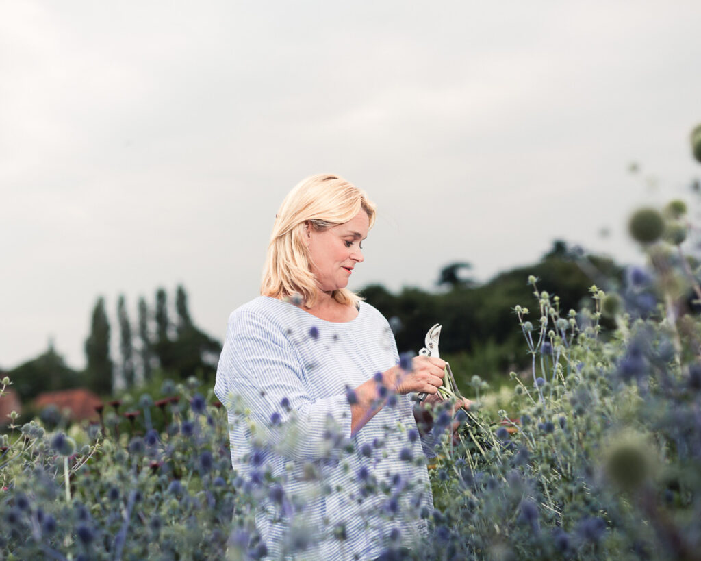 the southwold flower company 0187 20190716 copyright bob foyers photography