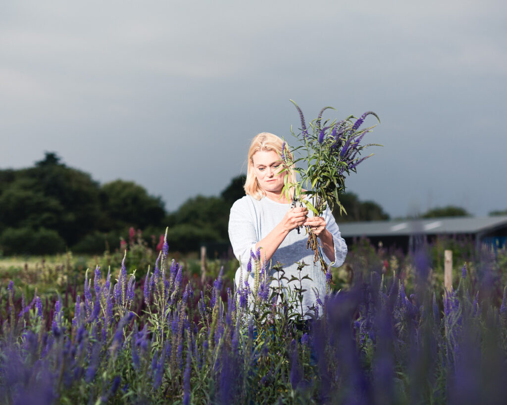 the southwold flower company 0217 20190716 copyright bob foyers photography