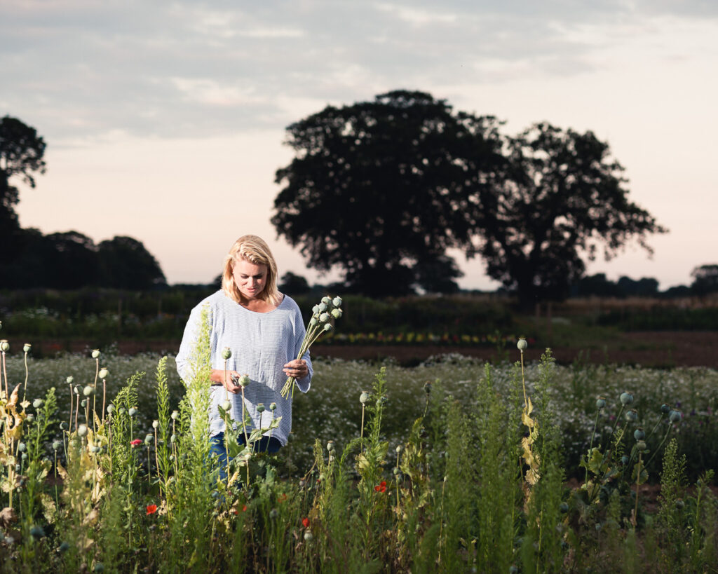 the southwold flower company 0287 20190716 copyright bob foyers photography