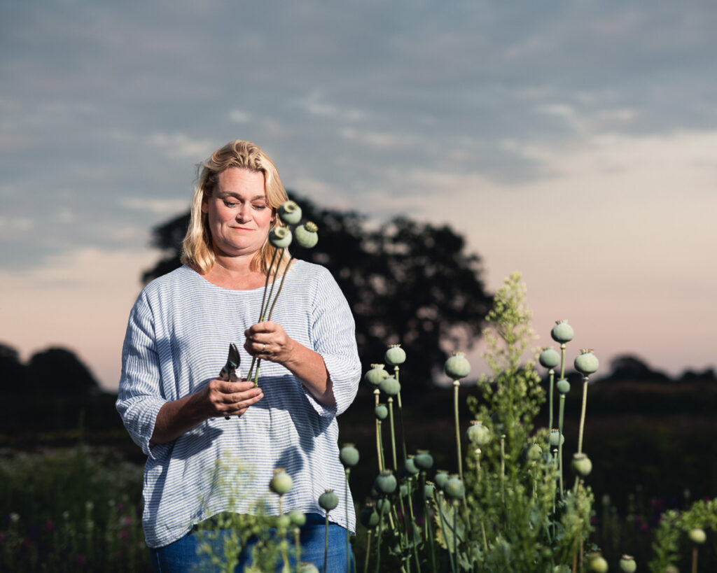 the southwold flower company 0295 20190716 copyright bob foyers photography